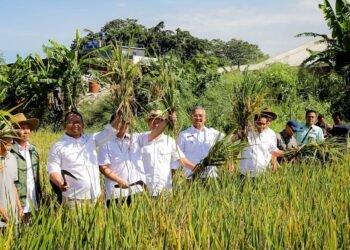 Toni Wijaya Apresiasi Upaya Ketahanan Pangan di Kota Bandung melalui Panen Padi Raya Serentak