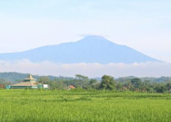Pilu, Dokumentasi Bahasa Inggris Jadi Tugas Kuliah Terakhir Ahmad Rifai Sebelum Ditemukan Tewas di Gunung Slamet