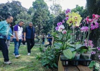 Konservasi Anggrek, Langkah Kecil Kembalikan Bandung Kota Kembang