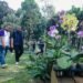 Konservasi Anggrek, Langkah Kecil Kembalikan Bandung Kota Kembang